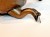 20250215_124807.jpg