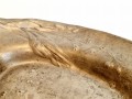 20250213_170021.jpg