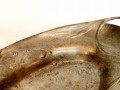 20250213_170025.jpg
