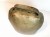 20250311_082116.jpg