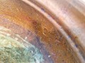 20250310_120926.jpg