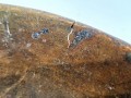 20250310_161833.jpg