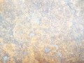 20250310_161914.jpg