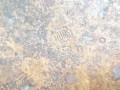 20250310_161921.jpg