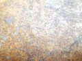 20250310_161940.jpg