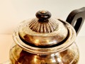 20250405_065127.jpg