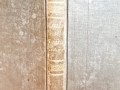 20250311_145051.jpg
