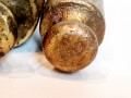 20250110_075511.jpg