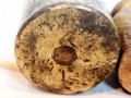 20250110_075538.jpg
