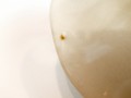 20250513_082540.jpg