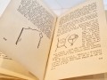 20250515_120522.jpg