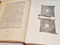 20250620_114804.jpg