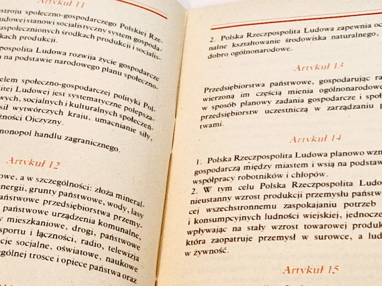 20250311_152125.jpg