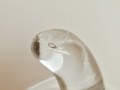 20250718_172459.jpg