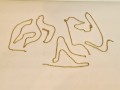 20250804_113241.jpg