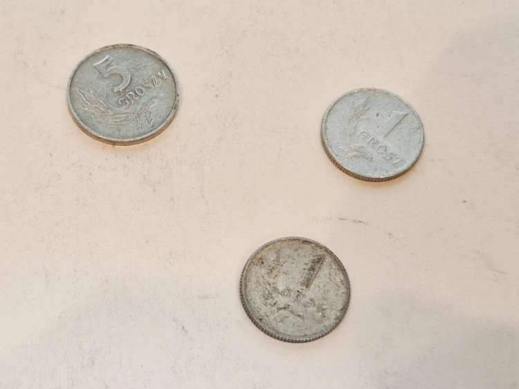 20250804_111322.jpg