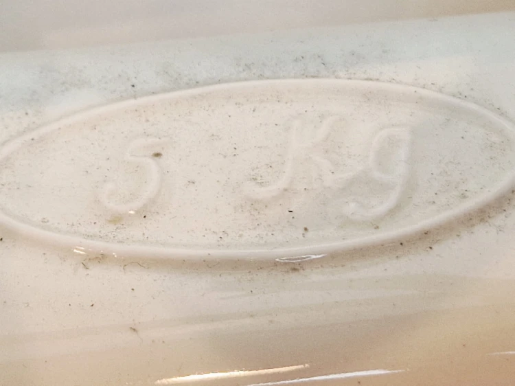 20250818_174623.jpg