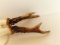 20250828_055758.jpg