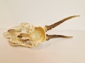 20250828_060521.jpg