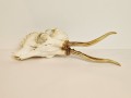 20250828_061552.jpg