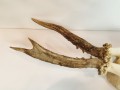 20250828_061718.jpg