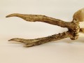 20250828_061735.jpg