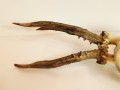20250828_061751.jpg