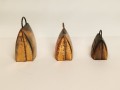 20250830_055028.jpg