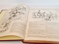 20250907_122117.jpg