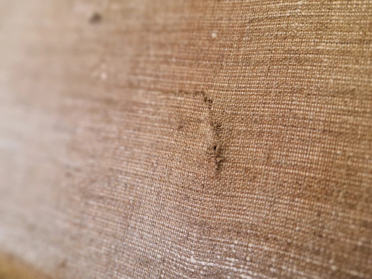 20250915_170419.jpg