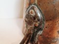 20251010_055849.jpg