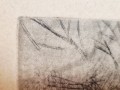 20251020_161356.jpg