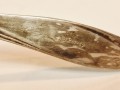 20251027_081144.jpg