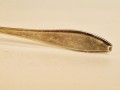 20251104_075028.jpg
