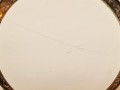 20251104_072920.jpg