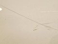 20251104_072931.jpg