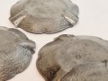 20251104_074730.jpg