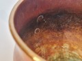 20251209_080048.jpg