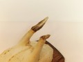 20251230_125249.jpg