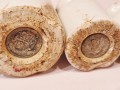 20260119_083203.jpg