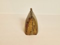 20251209_084713.jpg