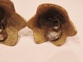 20251215_140518.jpg