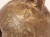 20251215_135049.jpg