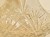 20260127_114743.jpg