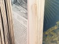 20260206_093625.jpg