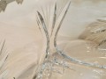 20260206_085148.jpg