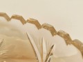 20260206_085205.jpg