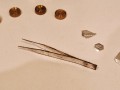 20260119_074158.jpg