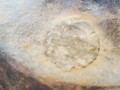 20260302_141530.jpg