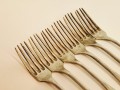 20260225_100856.jpg